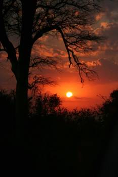 Krugerpark - Sunrise..