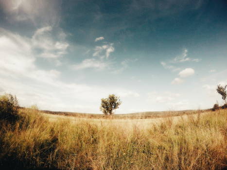 Krugerpark - Nature kruger park