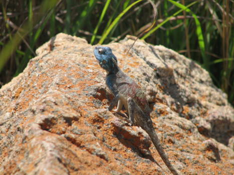Panoramaroute - lekker in de zon