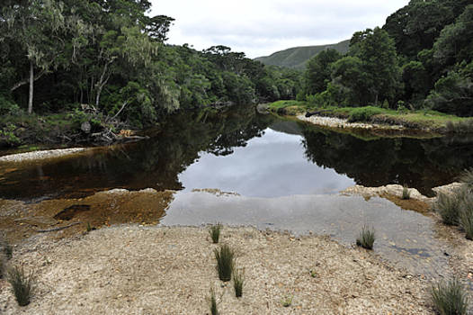Tsitsikamma National Park - Stormsrivier