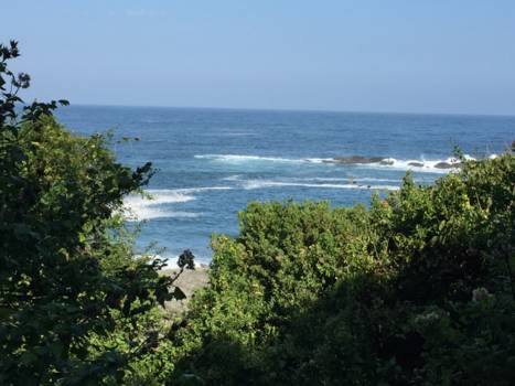 Tsitsikamma National Park