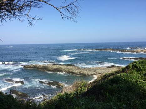 Tsitsikamma National Park