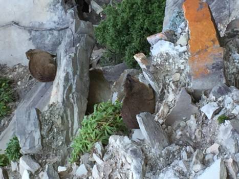 Tsitsikamma National Park