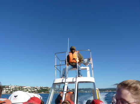 Plettenbergbaai - Walvisspotter