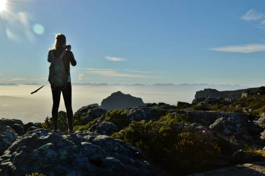 Kaapstad - Op de top van de Tafelberg