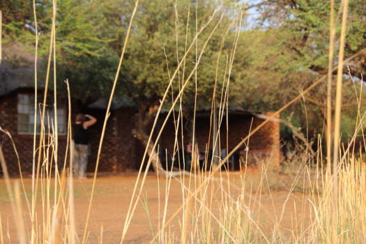 Pilanesberg National Park - Verblijf Pilanesberg