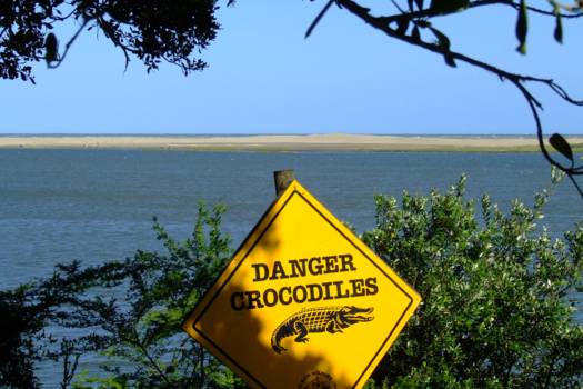 Saint Lucia - Ja, beestjes in het water