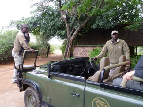 Mpumalanga - Op Safari....
