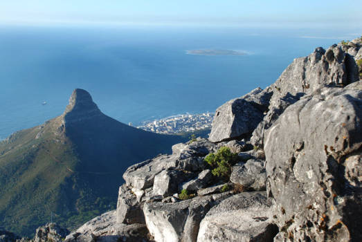 Tafelberg - Lionshead