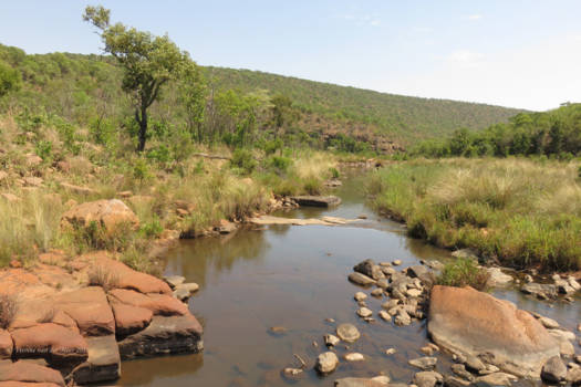 Welgevonden Game Reserve - Afrikaans landschap