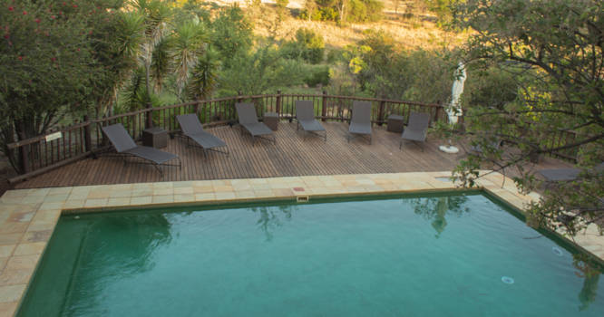 Kololo Game Reserve - zwembad