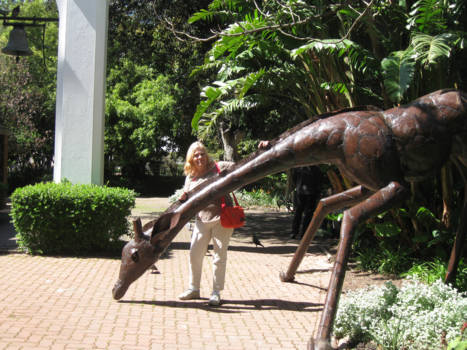 Zuid-Afrika - Botanische tuinen Johannes Burg