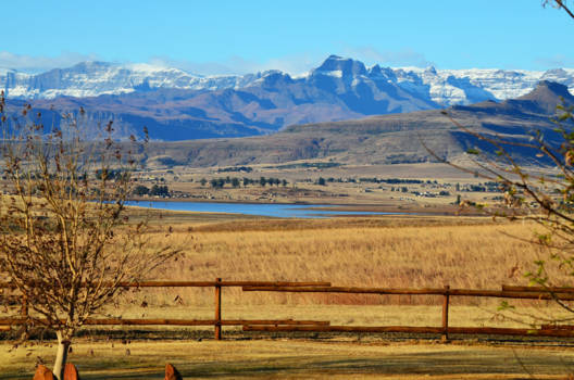 Zuid-Afrika - Drakensbergen: het heeft gesneeuwd vannacht.