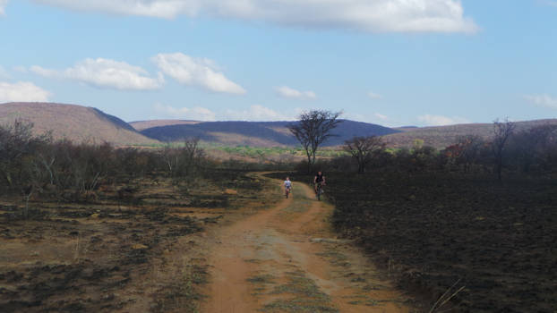 Limpopo - Op de fiets door Welgevonden Game Reserve, Zuid Afrika.