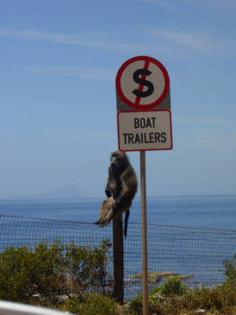 Kaapstad - Lekker chillen...!
