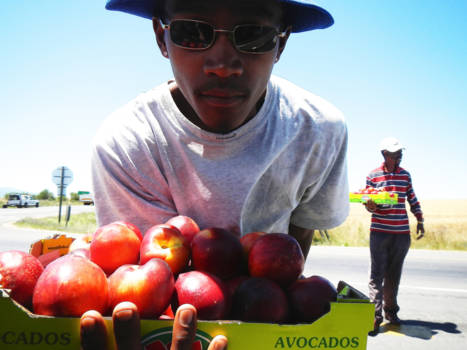 West-Kaap - "Do you want to buy?"