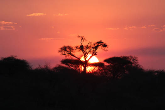 Limpopo - Zonsondergang bij Sunset-dam, Krugerpark