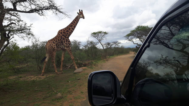 KwaZulu-Natal - Out of Africa gevoel