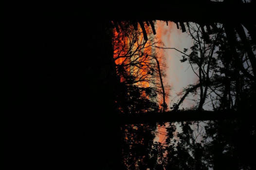 Oost-Kaap - Good morning !