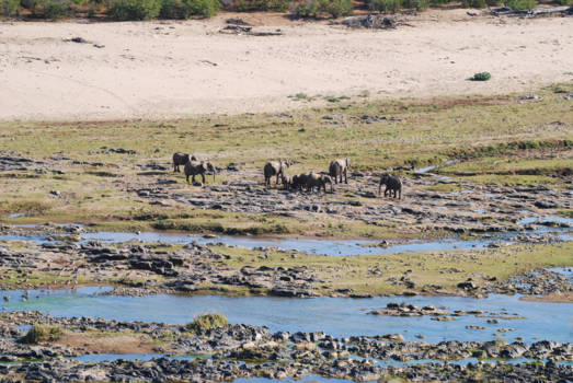 Krugerpark - Big river is almost dry: a horrible draught that damaged South-Africa's nature