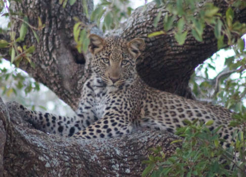 KwaZulu-Natal - Jong en onbevangen