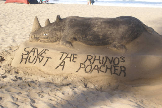 Johannesburg - Stop Rhino Poaching.
