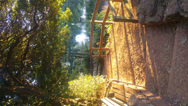 East London - Zongloed in het Hyden park