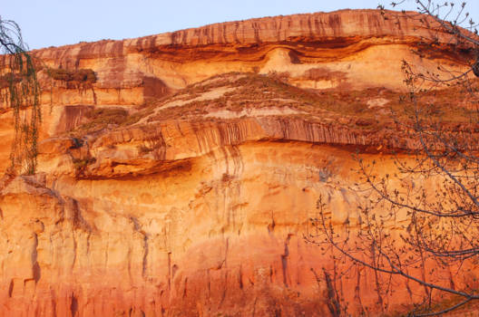 Vrijstaat - Golden Gate park
