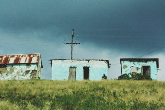 Krugerpark - Zuid-Afrika: een land met grote contrasten.