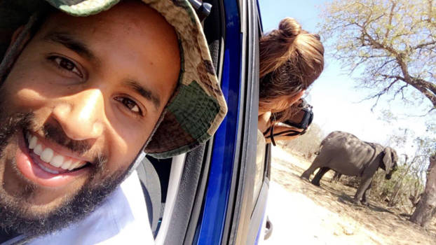 Krugerpark - Wildlife in Krugerpark Zuid afrika