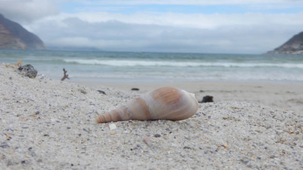 Muizenberg - De schoonheid van eenvoud