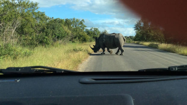Addo Elephant National Park - Even wachten...........