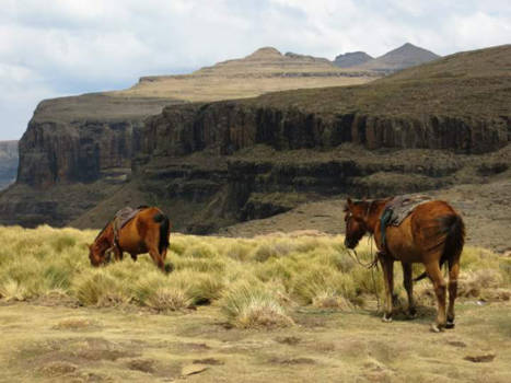 Lesotho - Verken prachtig Lesotho op een echte Besotho