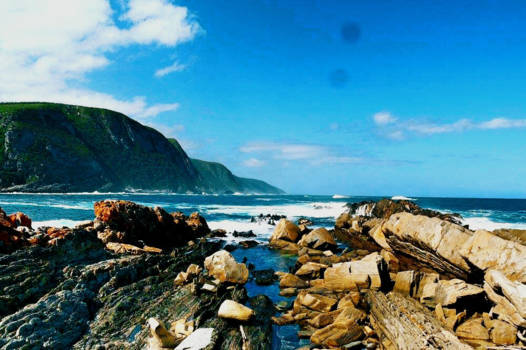 Tsitsikamma National Park - Viewing