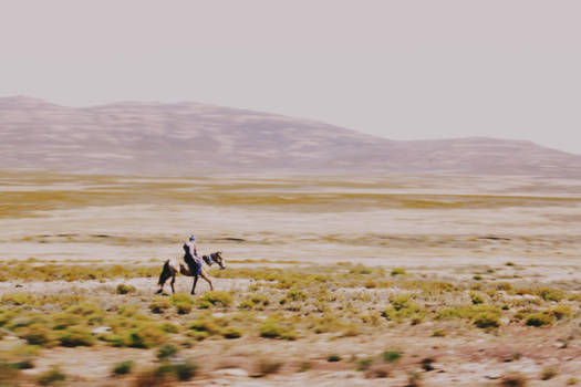 Lesotho - Na een prachtige tocht over de Sanipas het mooie Lesotho ontdekken!