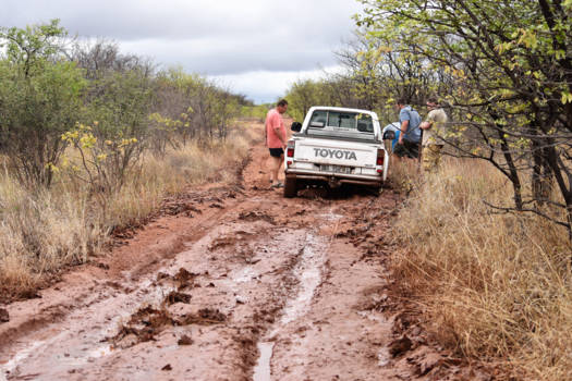 Mapungubwe National Park - Stuck in the mud