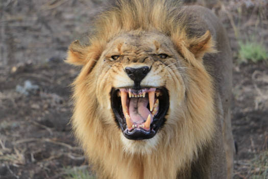 Noordwest - Wie is hier de baas!