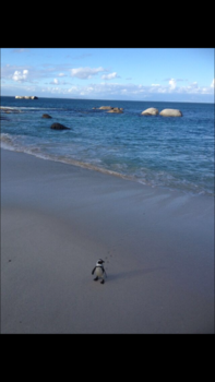 Kaapstad - All by myself...