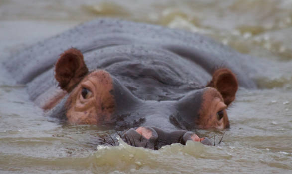 Saint Lucia - Welkom in Saint Lucia!