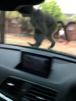 Noordwest - De schrik van ons leven