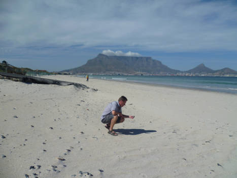Bo-Kaap - Milnerton strand...  Te bereiken met de nieuwe grote bussen..