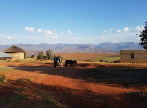 Lesotho - Locals Malealea village