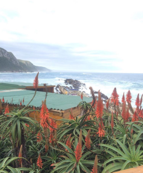 Tsitsikamma National Park - National park