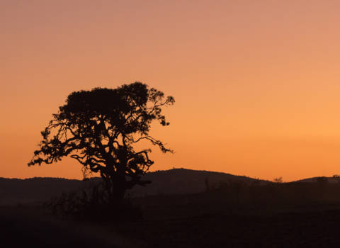 Limpopo - Zonsondergang in Welgevonden...