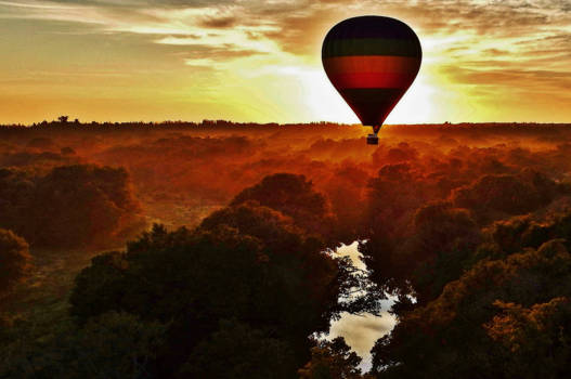 Limpopo - Ballonvaren in Hoedspruit