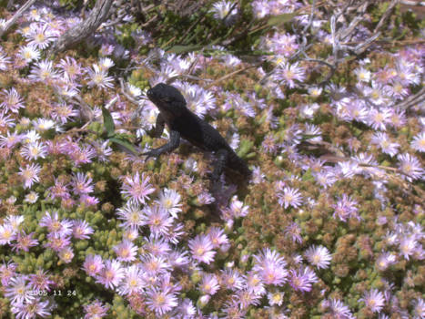 Rondreis van Johannesburg naar Kaapstad - cape point