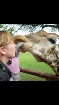 Rondreis Zuid-Afrika in drie weken - Real love