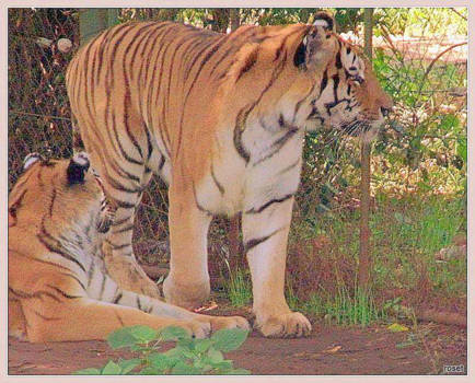 Oost-Kaap - wij pauzeren nu al te lang!