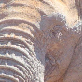 Port Elizabeth - Ik heb n oogje op jou!