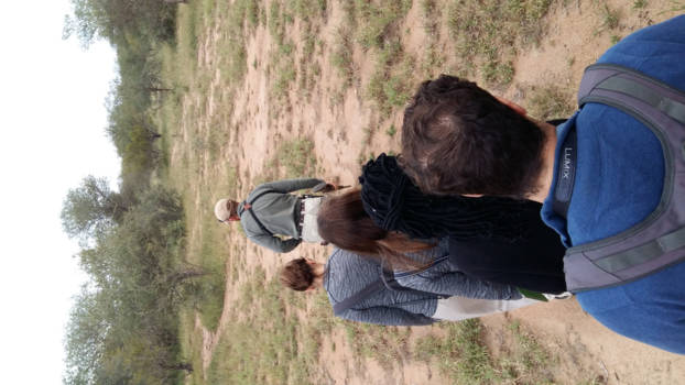 Mpumalanga - Walking Safari in the morning.